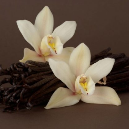 Vanilla Bourbon - vonný olej, 10 ml